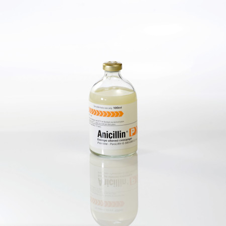 ANICILLIN-100ml