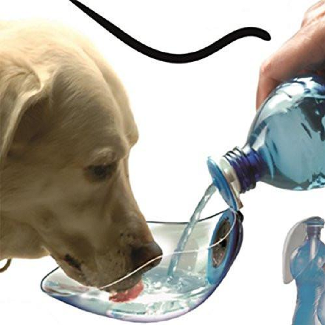Щенок не пьет воду. Поилка для собак дорожная. Поилки для собак в дорогу. Бутылка для воды для собак. Животные пьют воду.